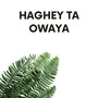 Haghey Ta Owaya