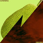 Eletrotropical