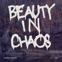 Beauty In Chaos