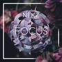 Focus