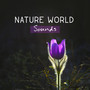 Nature World Sounds – Peaceful Music for Rest, Thinking and Take a Deep Breathe of Life, Exam Study