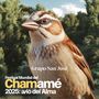 Grupo San José en Avio del Alma: Fiesta Nacional del chamamé 2025 (En Vivo)