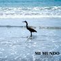 Mi Mundo