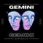 Gemini (Explicit)