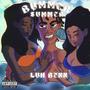 Bummer Summer (Explicit)