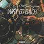 Why Go Back (Explicit)