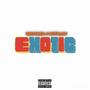 Exotic (feat. E GOTITALLDAY) [Explicit]