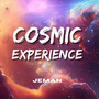 Cosmic Experience