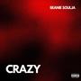 CRAZY (Explicit)