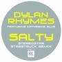 Salty (Stereo Star Starstruck Remix) (Single)