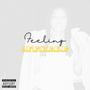 Feeling Myself (Explicit)