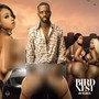 Birdnest (Explicit)