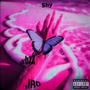 Shy (feat. JRO) [Explicit]