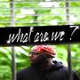 What are we? (Explicit)