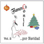 Flamenco Conil por Navidad, Vol. 2