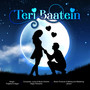 Teri Baatein