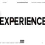 Experience (Explicit)