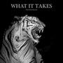 What It Takes (feat. Thehighwaystory) [Explicit]