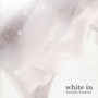 White In