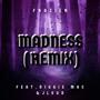 MADNESS (MART1ANMIX) (feat. DIGGIE MAC & JLOUD) [Explicit]