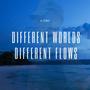 Different Worlds Different Flows (Explicit)