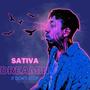 Sativa Dreamin (It Don't Stop) [Explicit]