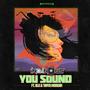 You Sound (feat. Blu & Tanya Morgan) [Explicit]