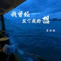 我曾经发了疯的想