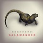 Salamander