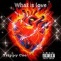 What Is Love (Explicit)