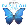 Papillon de Nuit