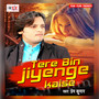 Tere Bin Jiyenge Kaise