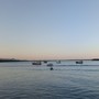 Vida