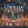 Chirstmas Party EDM