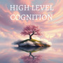 High Level Cognition
