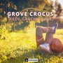 Crocus (Fede Garcia Remix)