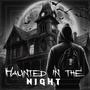 HAUNTED IN THE NIGHT (Radio Edit)