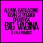 BIG ****** (G I N A Remixes) [Explicit]