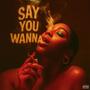 Say You Wanna (feat. J’ Sean & VoyceSoLit) [Explicit]