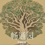 畅通园