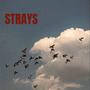 Strays : Side A