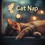 Cat Nap