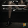 Sensual Lounge Experience # 1