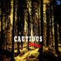 Cautious (Remix) [Explicit]