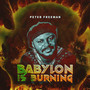 Babylon Is Burning (Remix)