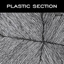 Plastic Section