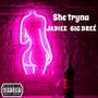 She Tryna (feat. jay¢ee & 6IG DREÈ) [Explicit]