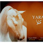 YARA | یارا (feat. PrOmid & Habib Meftah)