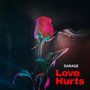 Love Hurts