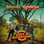 Voy A Enfiestarme (feat. Banda La Fregona)